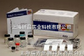 人FMS樣酪氨酸激酶3配體(Flt-3L) Elisa試劑盒產品介紹